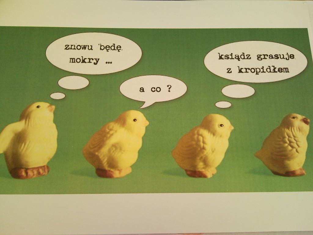 PoLak  . . .