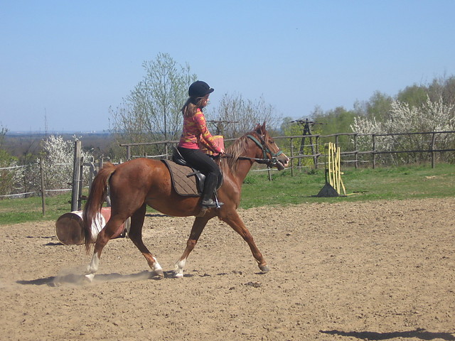 ja & Fini