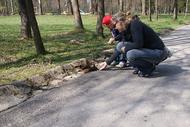 dzie drugi-Park Zdrojowy