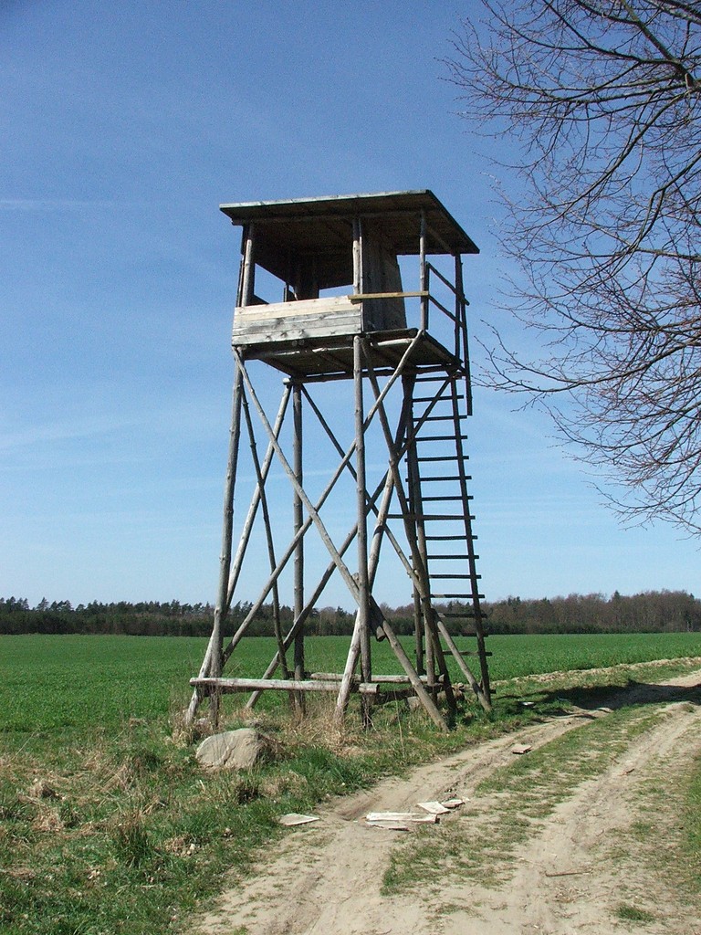 Ambona