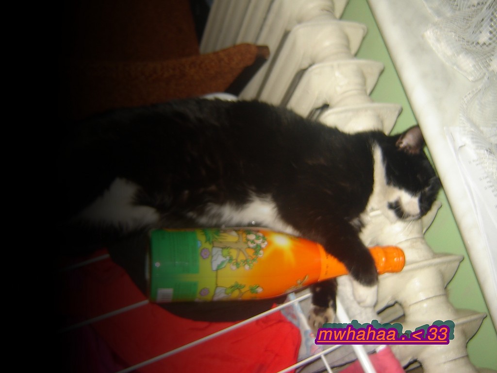 ` Psotu . < 3