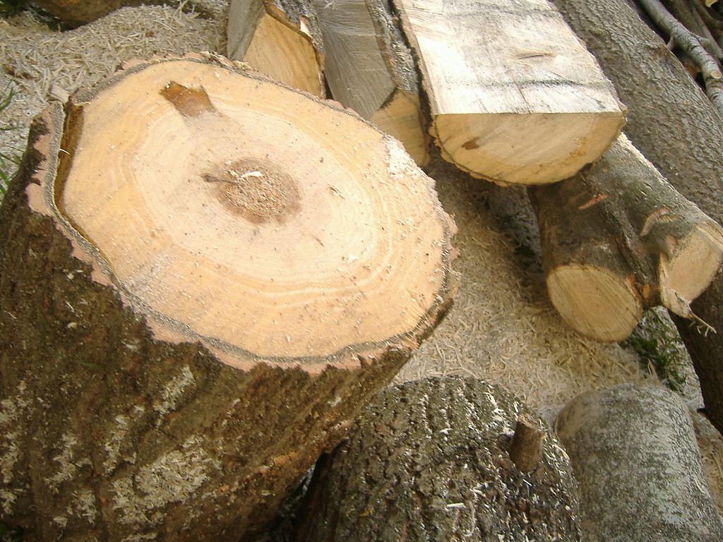 Wiosna 2009