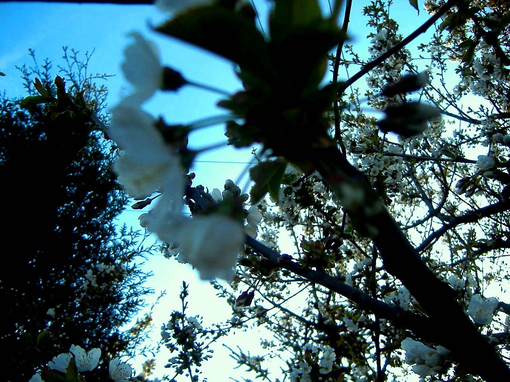 Wiosna 2009