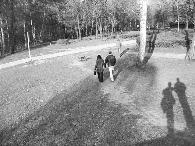 Watched by Angels