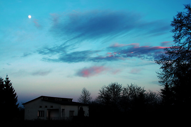 Blue :)