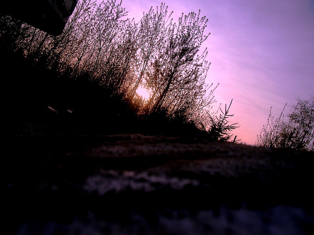 Wiosna 2009