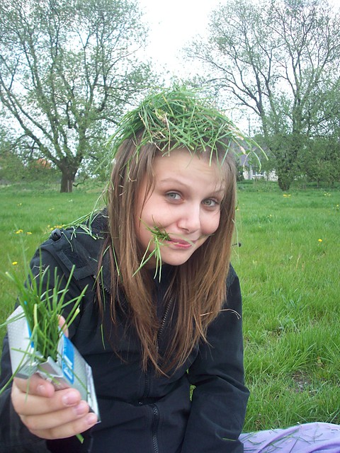 trawki?