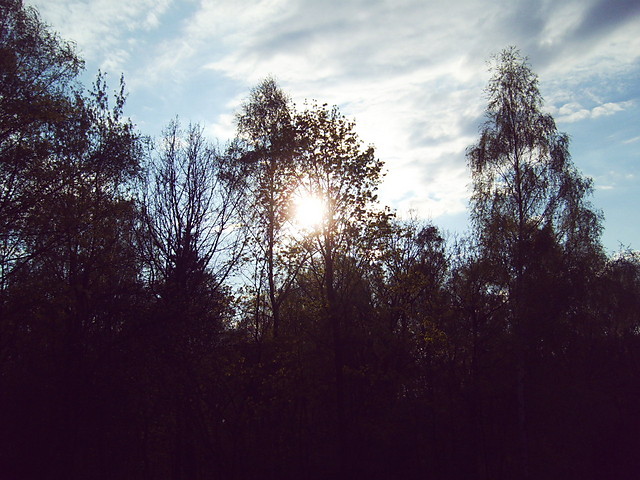 Egzaminy.