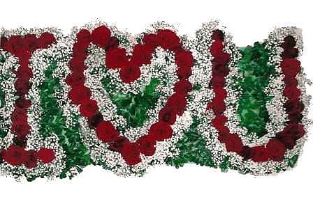 for K A M ! ;*