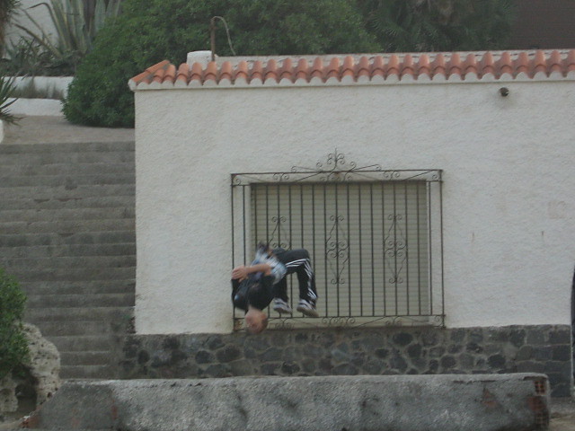 salto w ty