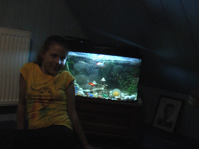 Rybki ;-D