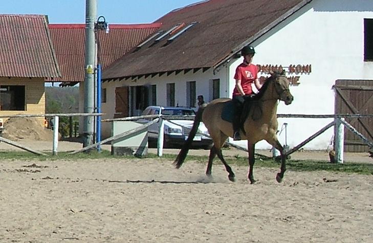 Mikrusek!