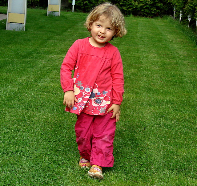 maja