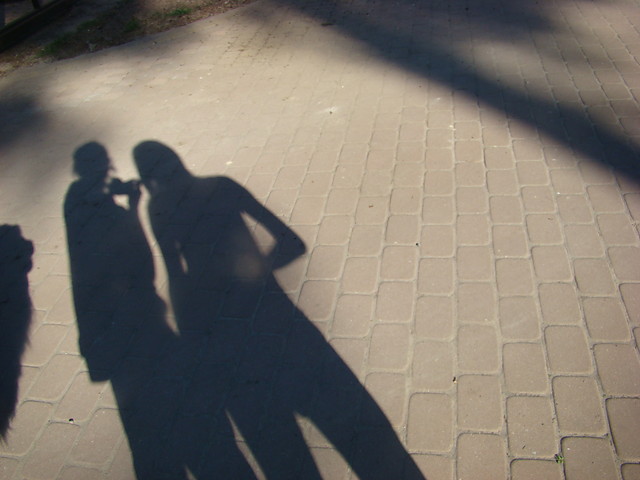 cienie.