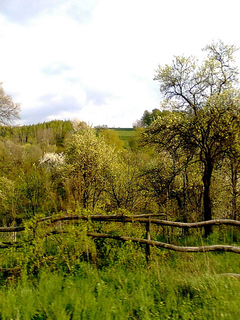 Pot, pot krzywy pot ;D