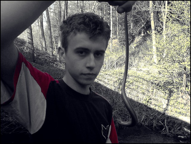 Padalec  ;] 