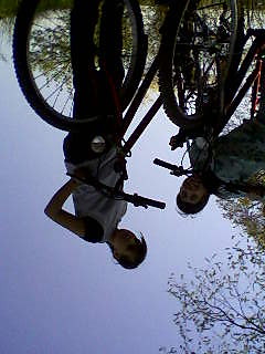 Kinn and ja 