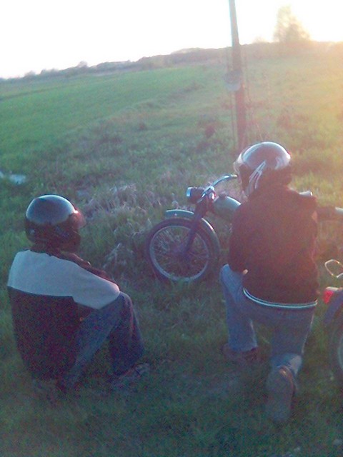 Mody;d