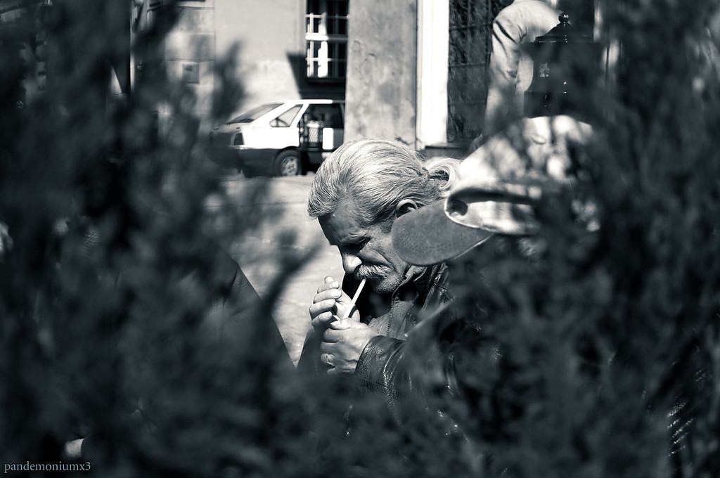 paparazzi XDD