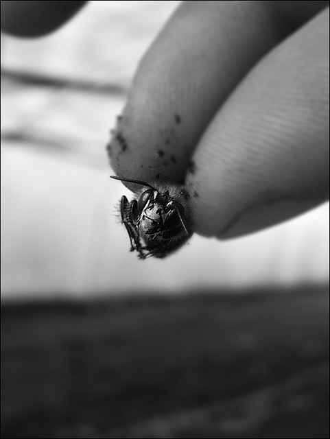 Mody. ;p