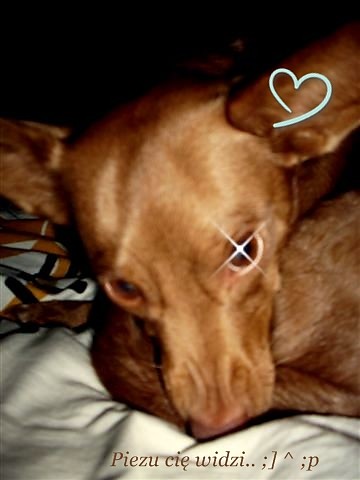 Piezu.. ;] ^ :D 