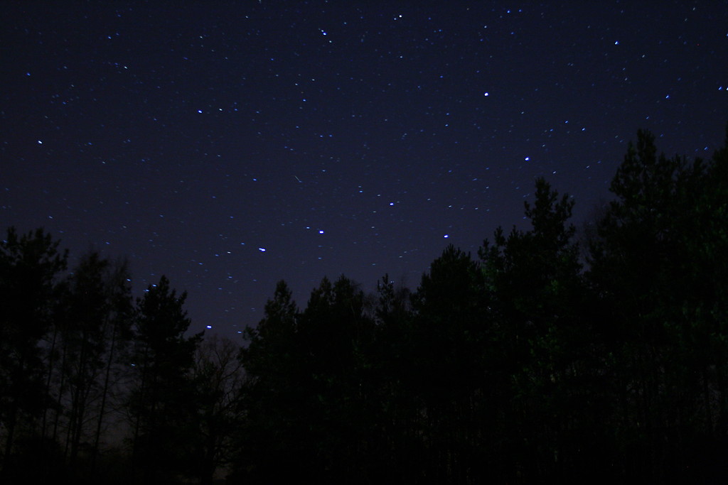 Ursa Major