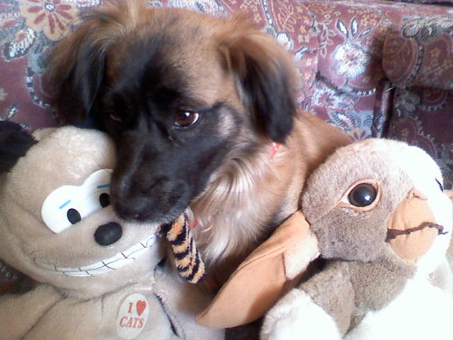 kicia? o_O