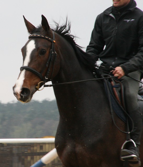 Pysio :)