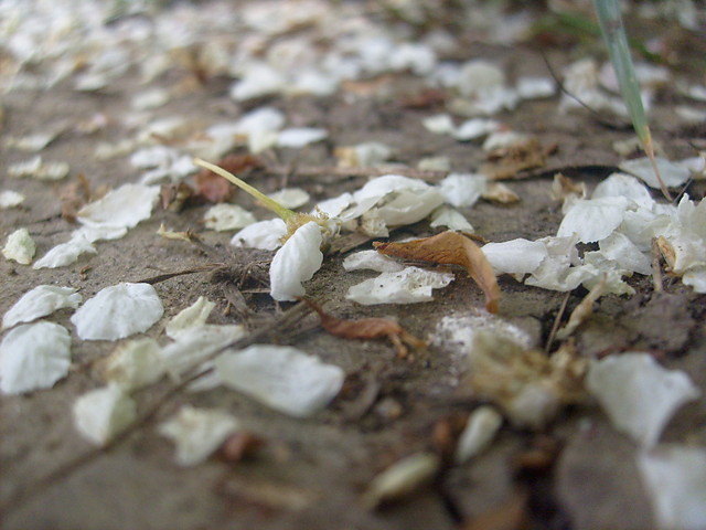 Beton.