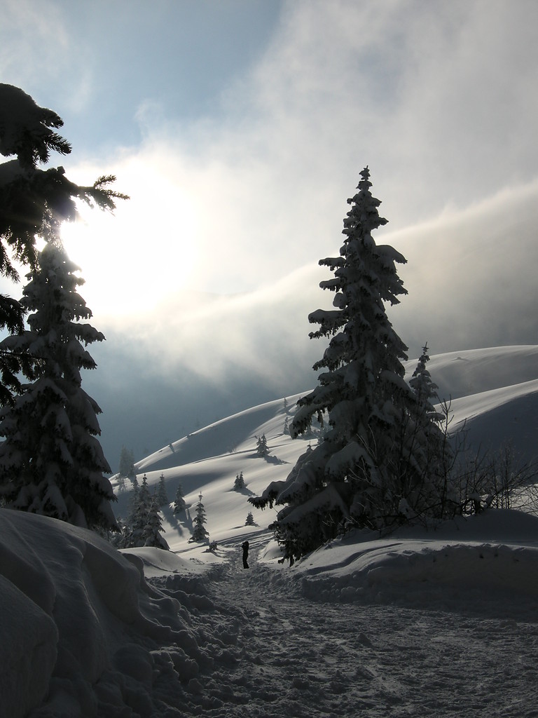 Tatry