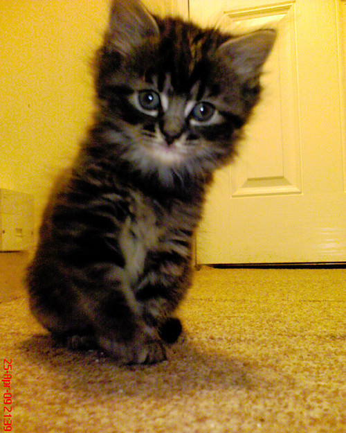 Charlie. x
