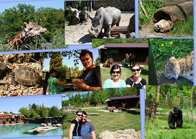 Zoo