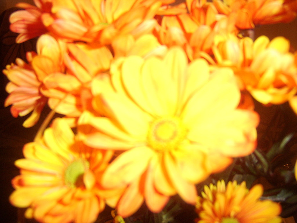 floweer