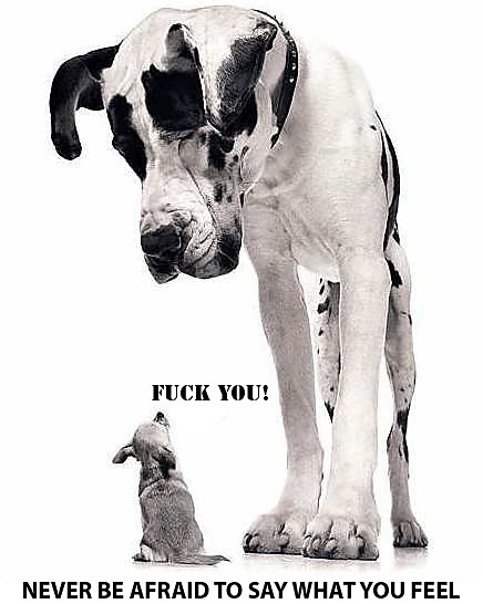 FUCK YOU.