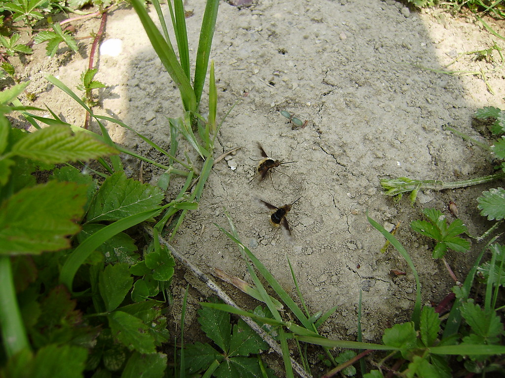 NATURA - MALY ODPOCZYNEK