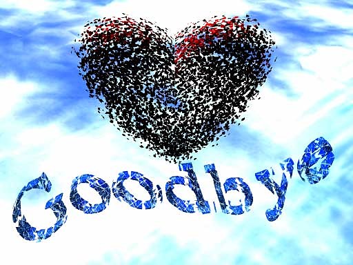 GOOD BYE!!!!