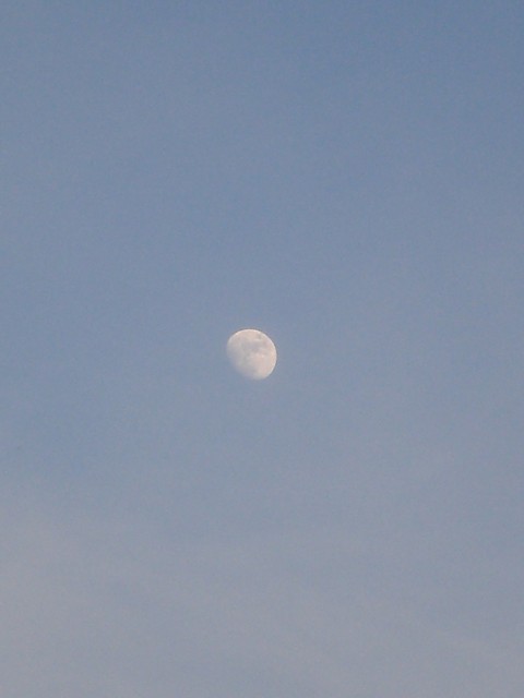moonlight
