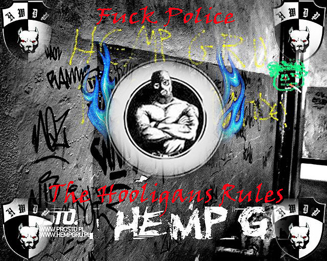  THE HOOLIGANS RULES