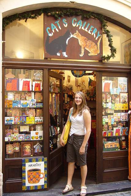 Cat's Gallery