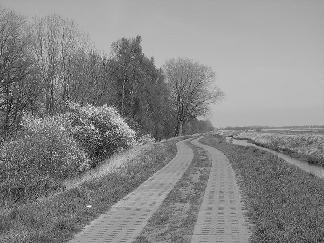 In the middle of nowhere