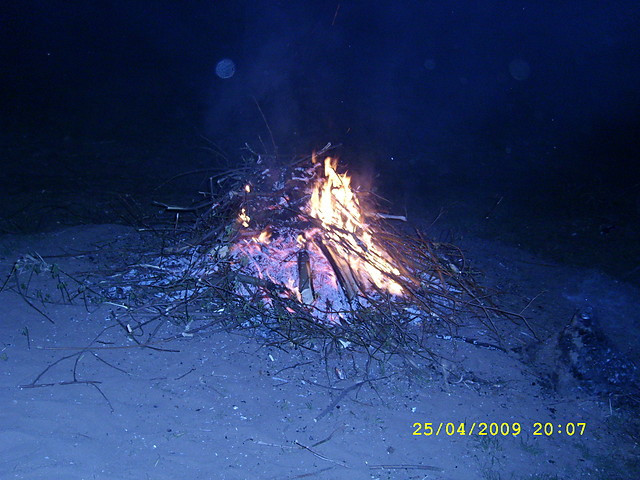 ogen