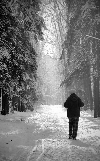 to the light