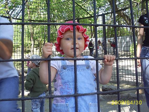 ciau;**
