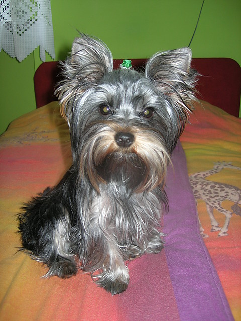 Kiara ^^