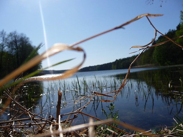 9 maja 2009