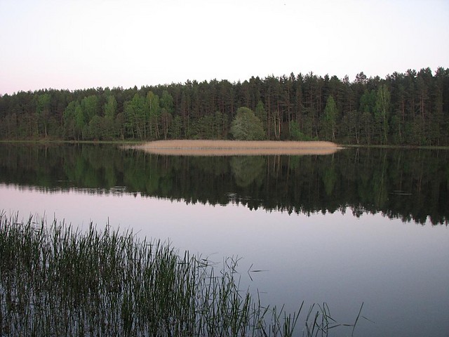 Everlasting peace