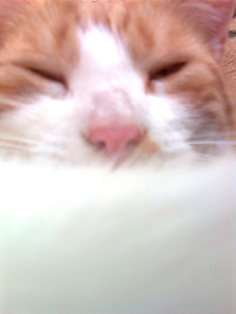 rudy.   102 ^^