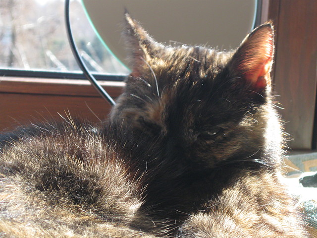 muffy