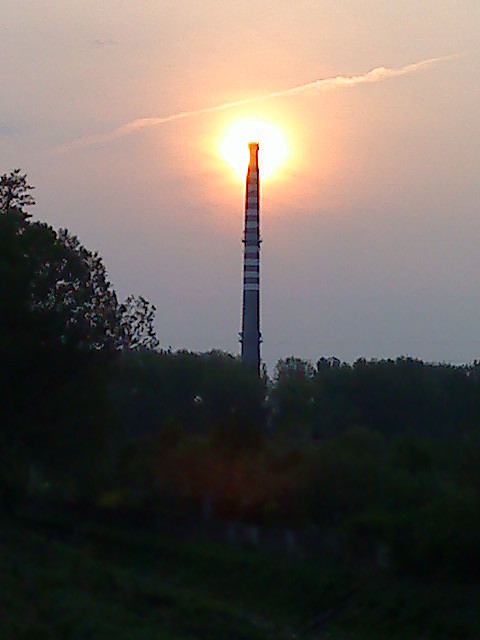  ' lizak '