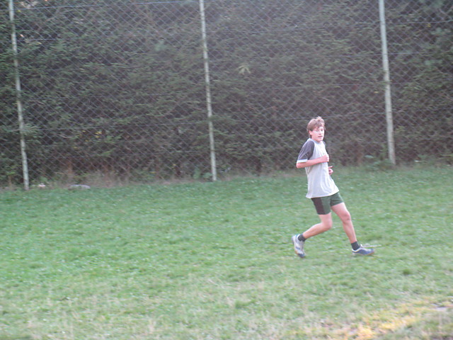 Podwrkowa Liga Mistrzw